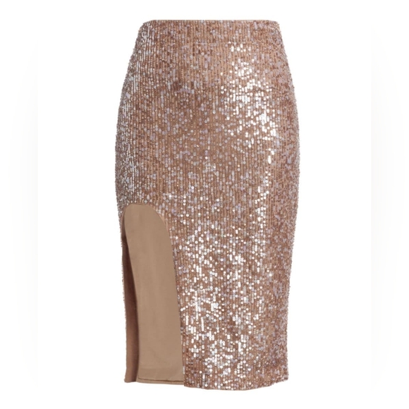 NWT sz 10 $1650 Zeynep Arcay sequined skirt - Picture 4 of 5